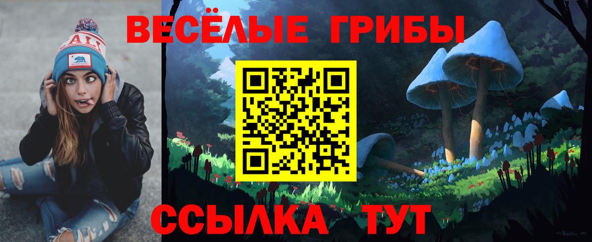 Галлюциногенные грибы мухоморы Жигулёвск